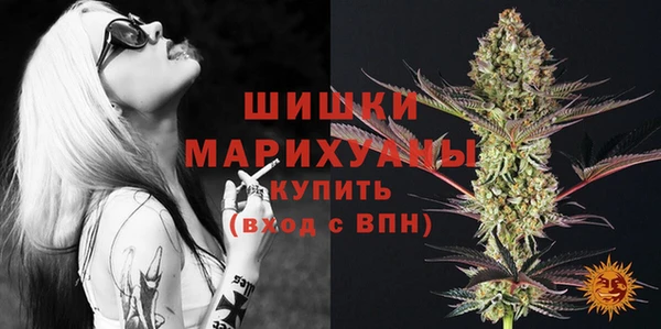 ГАЛЛЮЦИНОГЕННЫЕ ГРИБЫ Арсеньев