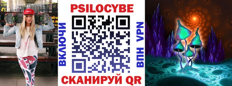 Псилоцибиновые грибы Cubensis  Боровичи 