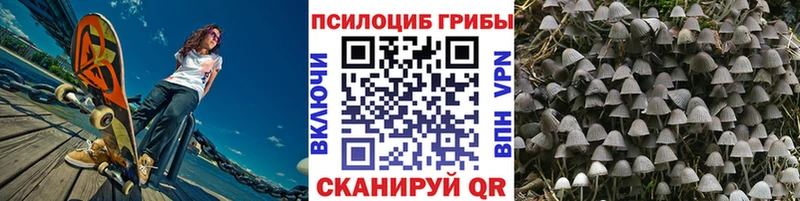 Галлюциногенные грибы MAGIC MUSHROOMS Боровичи